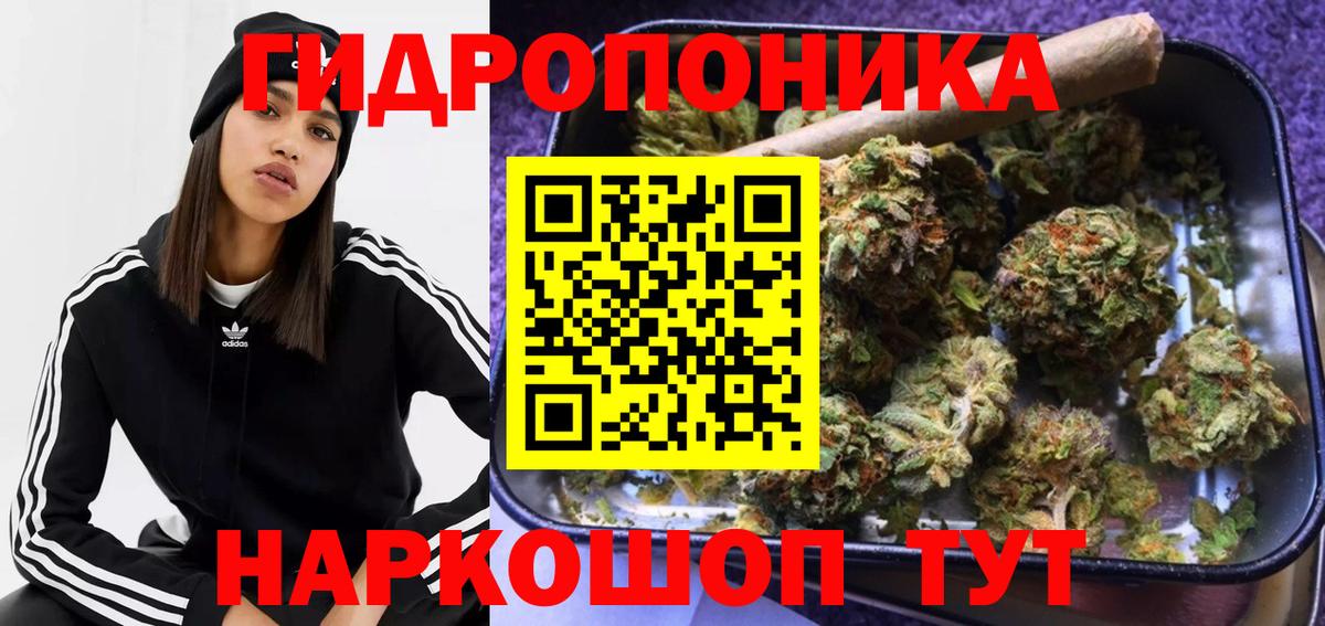 Канабис планчик Шахты